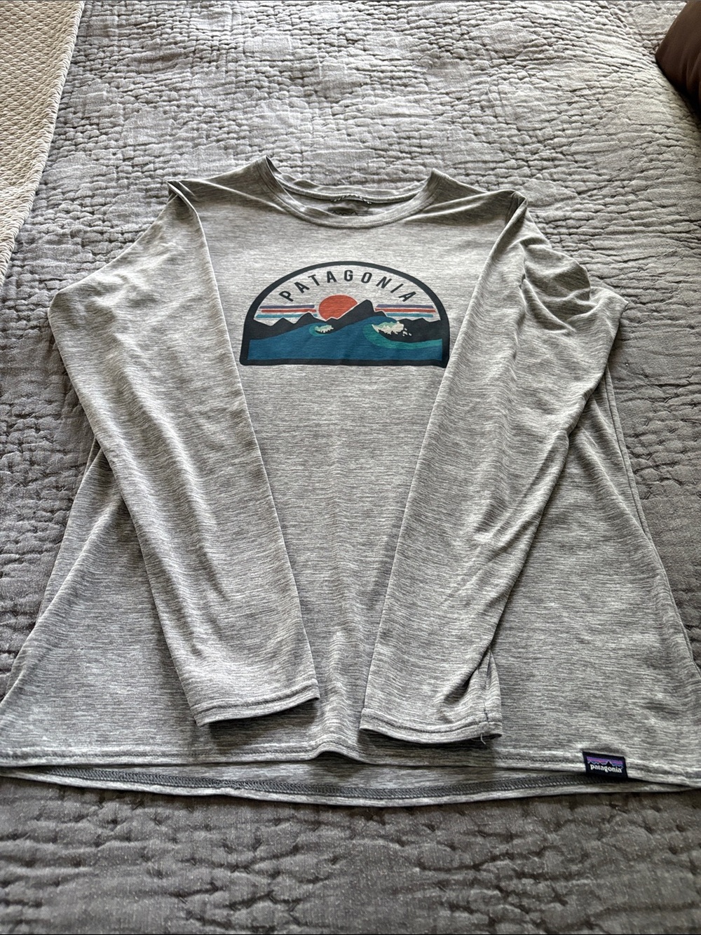 Patagonia Light Gray Long Sleeve Tee with Multicolor Mountain Graphic
